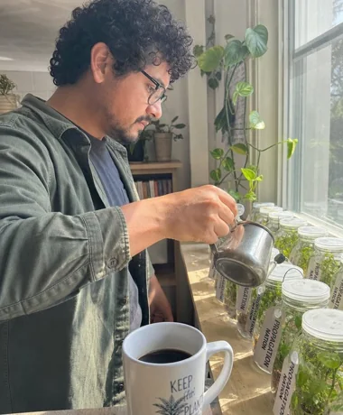 A plant seller watering cuttings